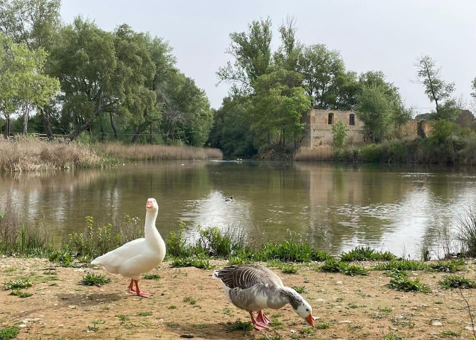 Casa Rural Berta El Picazo Zewnętrze zdjęcie