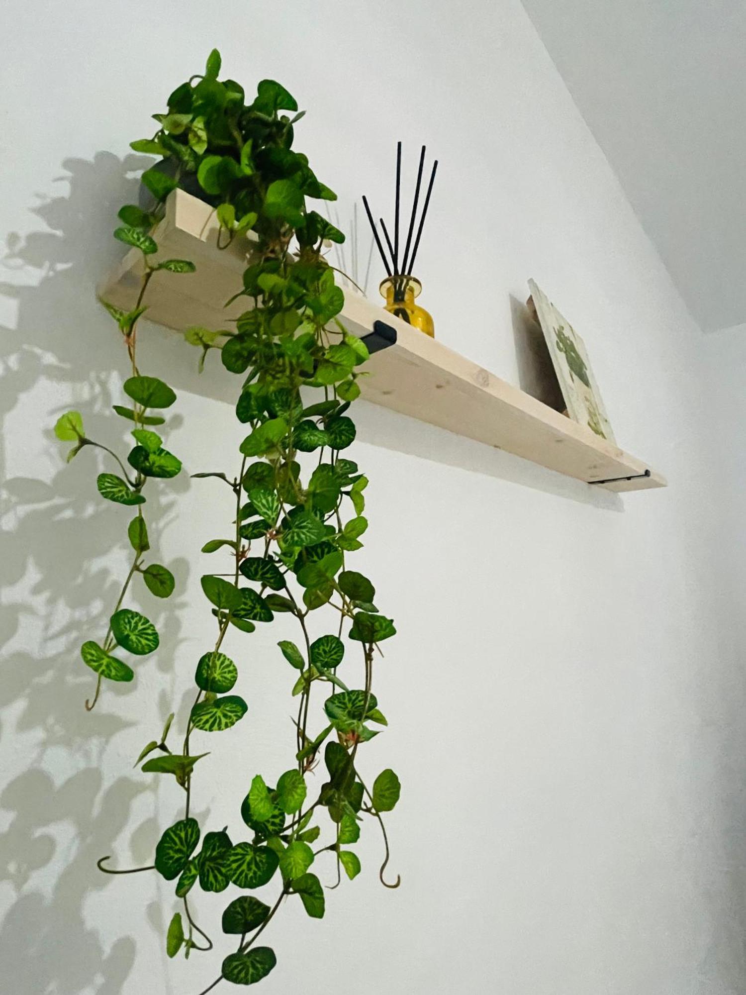 Casa Rural Berta El Picazo Zewnętrze zdjęcie